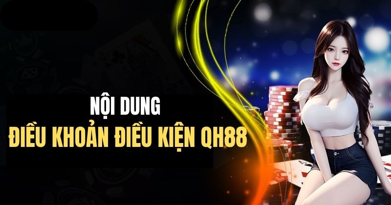 Những nội dung chính của điều khoản điều kiện